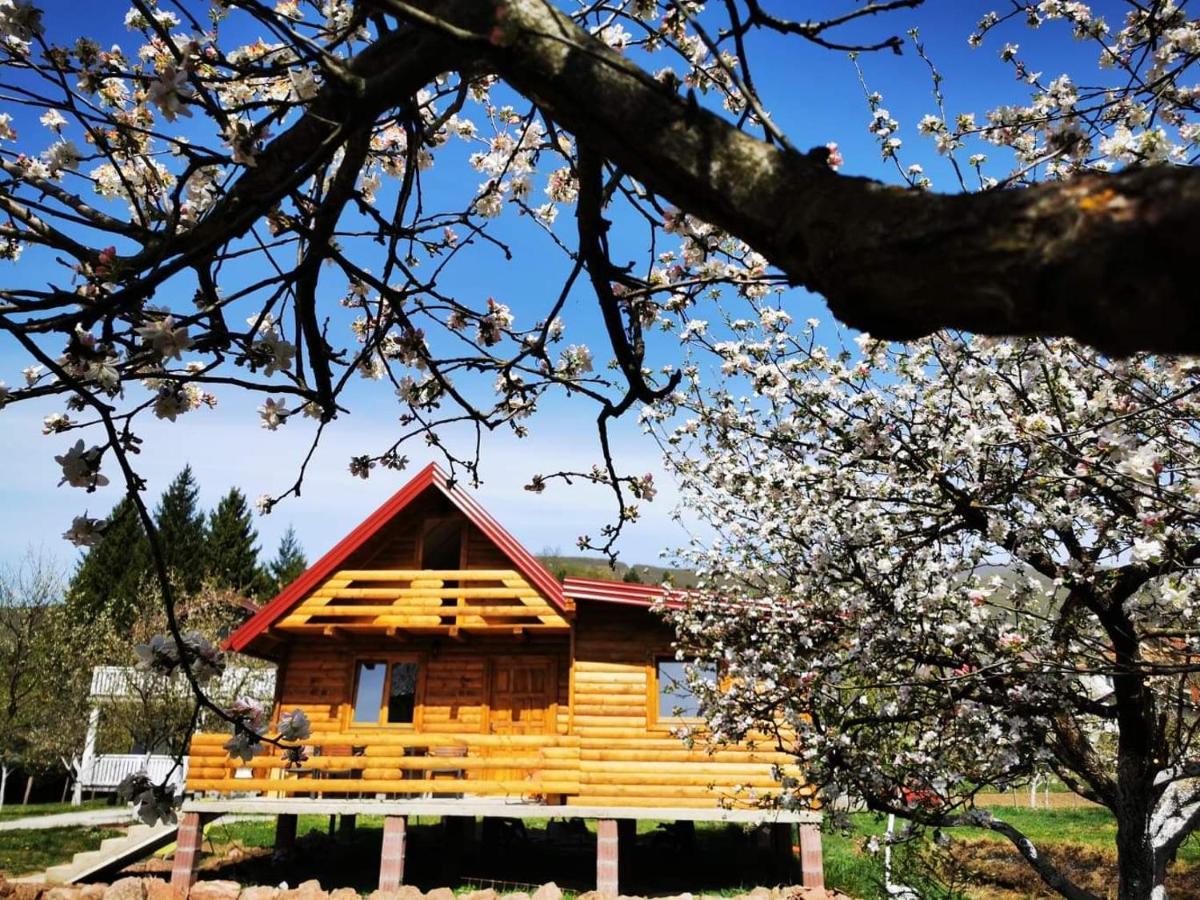Wooden House "Una" كولين فاكوف المظهر الخارجي الصورة
